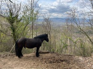 Apenniinides-Carsoli-lahistel-09.04.2025