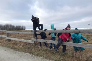 Lobus-hetk-Paljassaares-01.02.2025 (1)