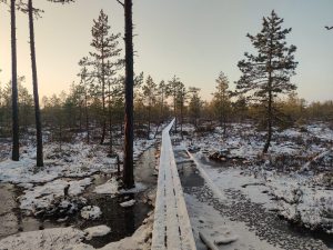 See-tee-viib-ule-vee-Laeva-raba-2025