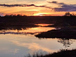 Valguse-kaskaad-Kakerdaja-raba-2024-09